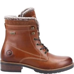 Cotswold Womens/Ladies Daylesford Leather Ankle Boots (Black) 24 Cotswold Womens/Ladies Daylesford Leather Ankle Boots (Black) -hiking boots shop ka7f2a4420c5299e282ec2a07067d9fde