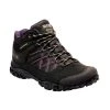 Regatta Womens/Ladies Edgepoint Waterproof Walking Boots (Black/Prune)